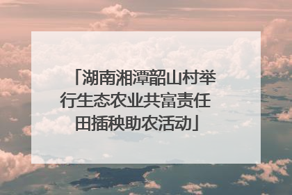 湖南湘潭韶山村举行生态农业共富责任田插秧助农活动